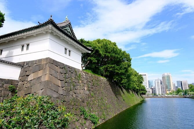 Sakura Magic and Nabana No Sato Day Tour From Osaka - Value Check: How $156 Works in Your Favor