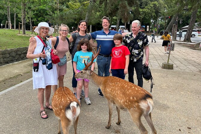 Shore Excursion: Full Day Private Nara Tour from Osaka /Kobe port - Getting picked up and why it matters with cruise days