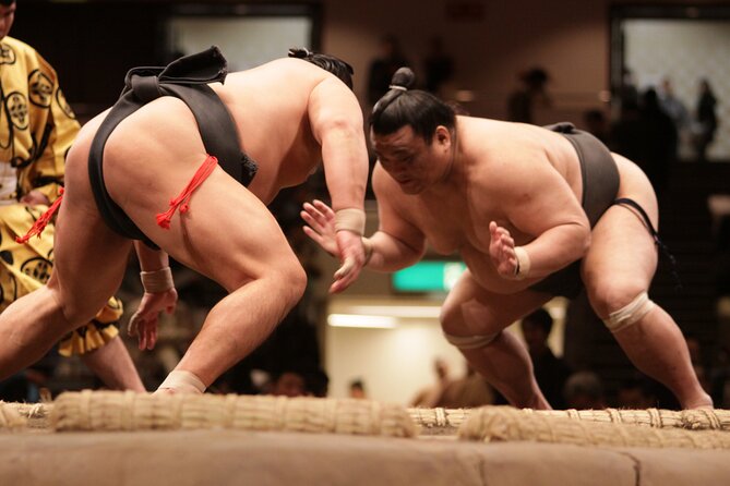 Sumo Wrestling Tournament Chair Seats & Expert Guide | Osaka Mar - Key highlights you’ll care about