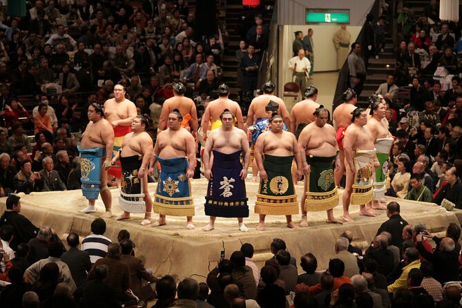 Sumo Wrestling Tournament Chair Seats & Expert Guide | Osaka Mar - The guide experience: why explanations make sumo click