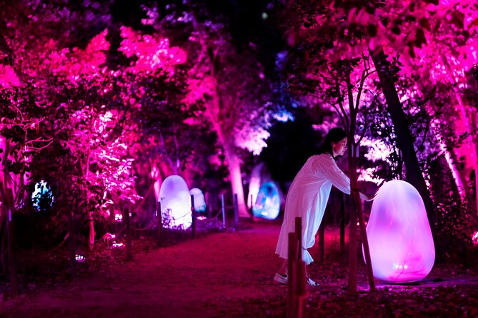 TeamLab Botanical Garden Osaka Ticket - A Night Garden in Osaka: What You’re Actually Walking Into
