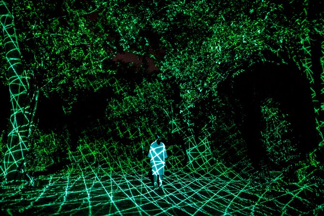 TeamLab Botanical Garden Osaka Ticket - Ticket Lines, Timing Stress, and How to Keep It Smooth