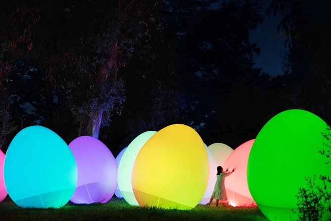 TeamLab Botanical Garden Osaka Ticket - Entering the Luminous Forest: When Trees Become Part of the Show