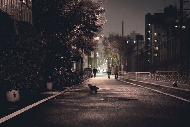 The Dark Side of Osaka Walking Tour - First stop: Shinsekai and the meaning behind the neon nostalgia