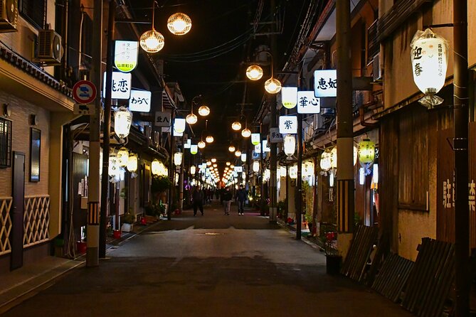 The Dark Side of Osaka Walking Tour - Tobita Shinchi: Osaka’s red-light district, explained with boundaries