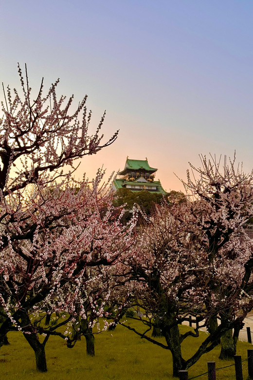 (Ticket Included) Explore Osaka Castle & Museum of History - Osaka Museum of History: where Naniwa Palace tells the story