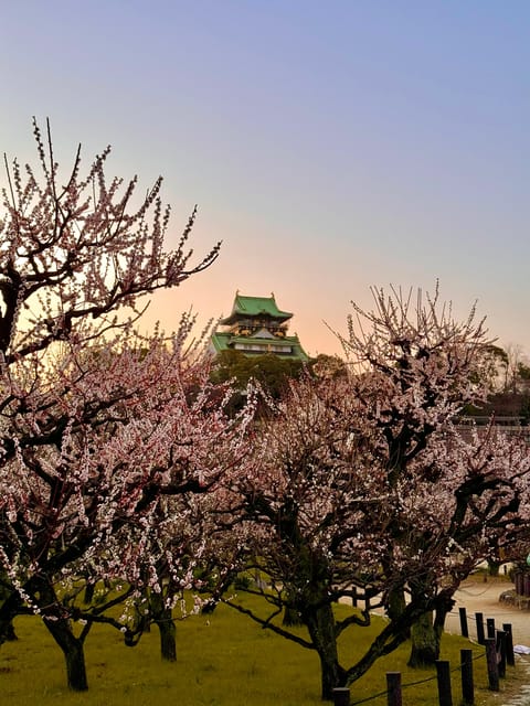 (Ticket Included) Explore Osaka Castle & Museum of History - Pace and group size: why the “small group” matters here